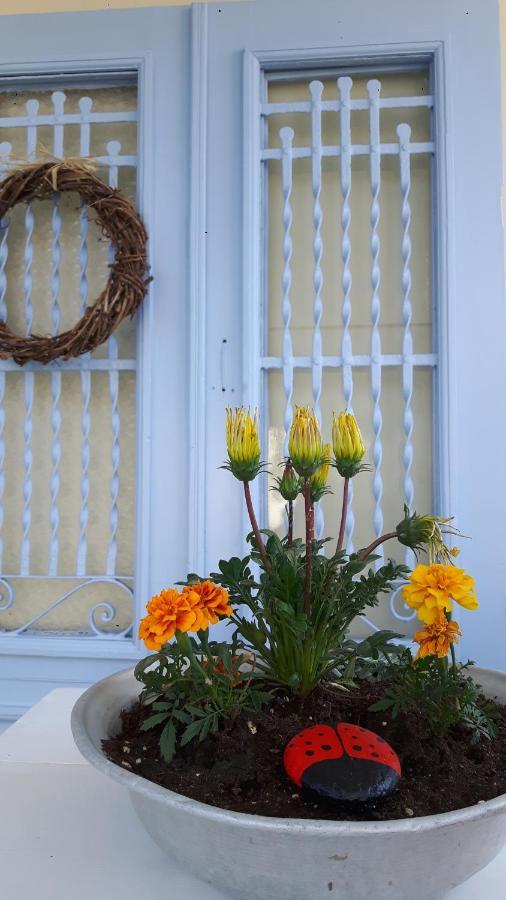 Villa Cavos Seaside House Vathí - Ítaca Exterior foto